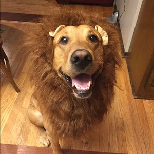 Meet your Posher, Teri